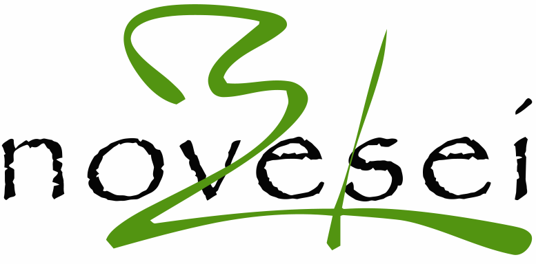 Novesei Di Stefanini Paolo