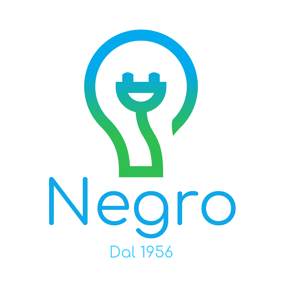 NEGRO CARLO DI MASSIMO E SIMONA NEGRO - S.N.C.