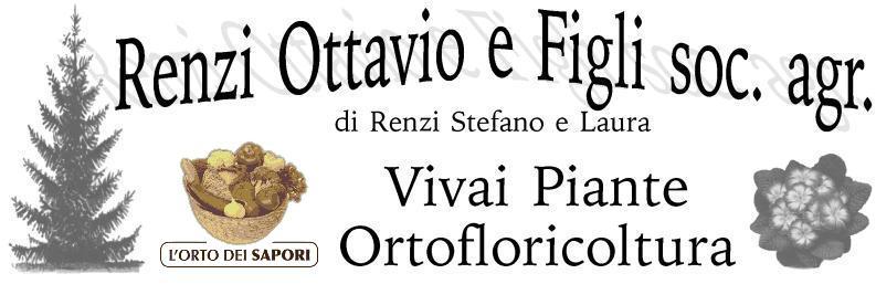 Renzi Ottavio E Figli Di Renzi Stefano E Laura Societa' Agricola