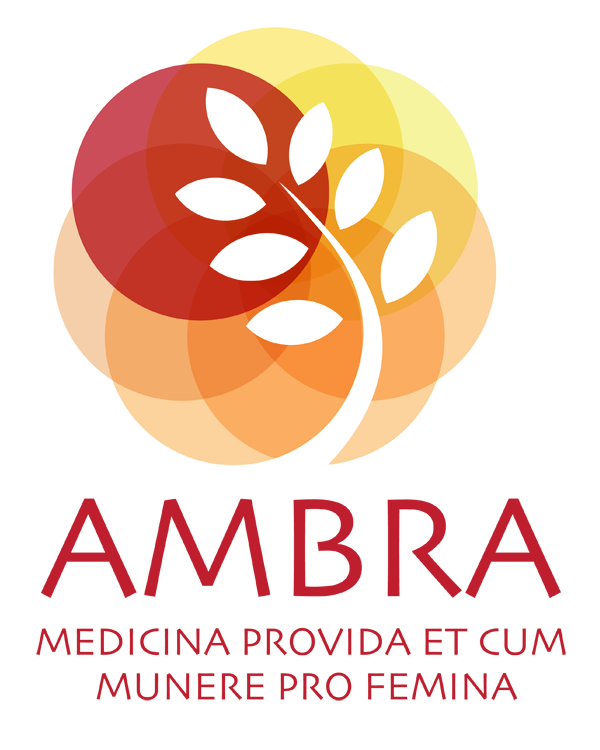 Ambra Srl