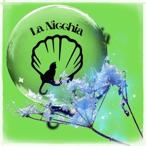 La Nicchia Di Dominga Bravi