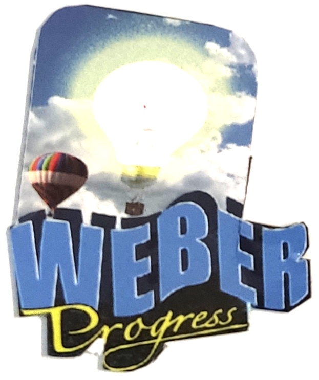 WEBER DI DEL GIUDICE LUCIANO