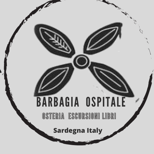 BARBAGIA OSPITALE SRLS