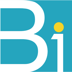 B-ONE SRL