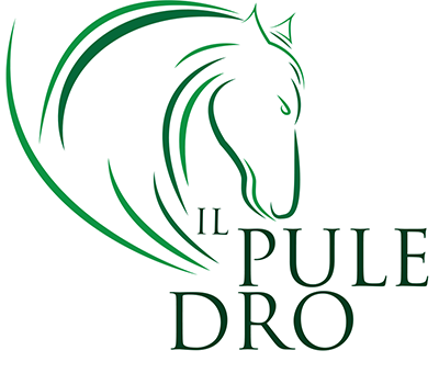 Logo aziendale