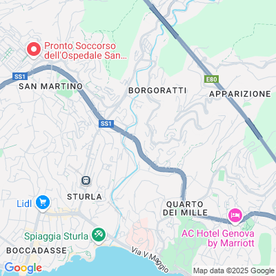 Mappa