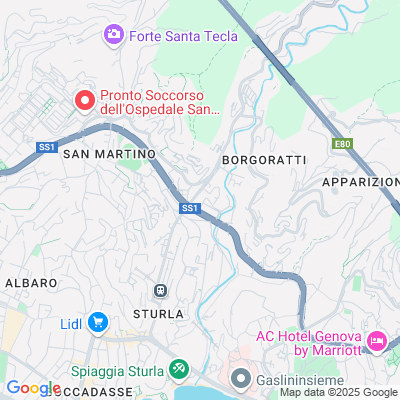 Mappa