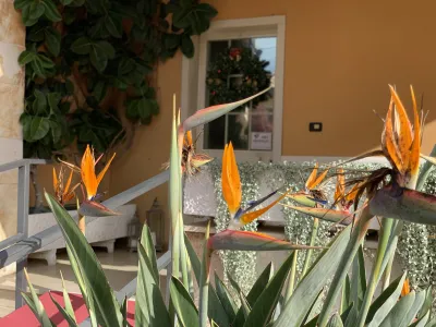 Foto aziendale