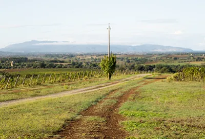 Foto aziendale