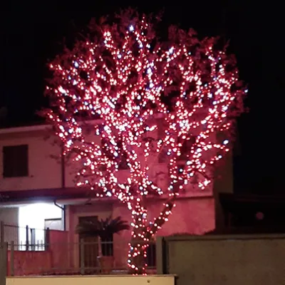 Foto aziendale