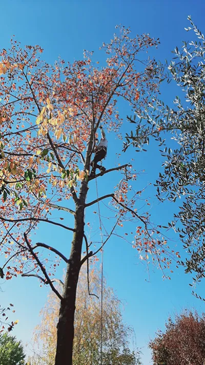 Foto aziendale