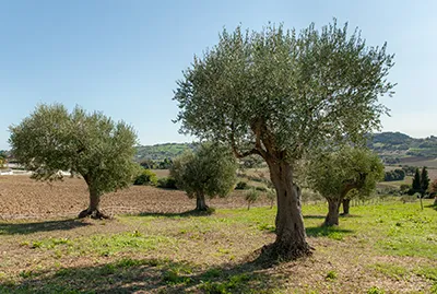 Foto aziendale